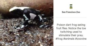 vine best practise, social media, consultant, marketing, facebook, twitter, PR, online reputation, advertising, ATL, digital footprint, Social media ROI, brands, social media competitions, social media, consultant, marketing, PR, online reputation, advertising, ATL, digital footprint, Social media ROI, brands, social media competitions, social media, consultant, strategy, kerry fitzgerald, dublin, marketing, ireland, small business, facebook, linkedin, twitter, training