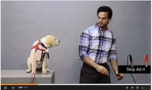 social media, consultant, strategy, kerry fitzgerald, dublin, marketing, ireland, small business, facebook, linkedin, twitter